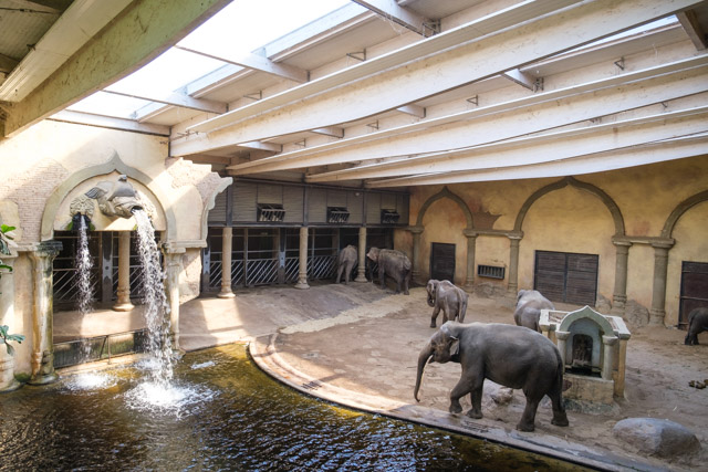 Elefantenfreilaufhalle im Tierpark Hagenbeck