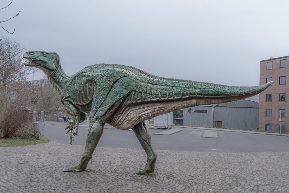 Iguanodon, Ottoneum, Kassel