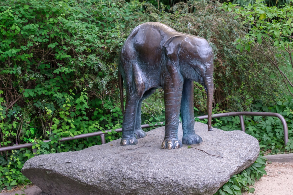 Elefantenbulle Orje, Zoo Berlin