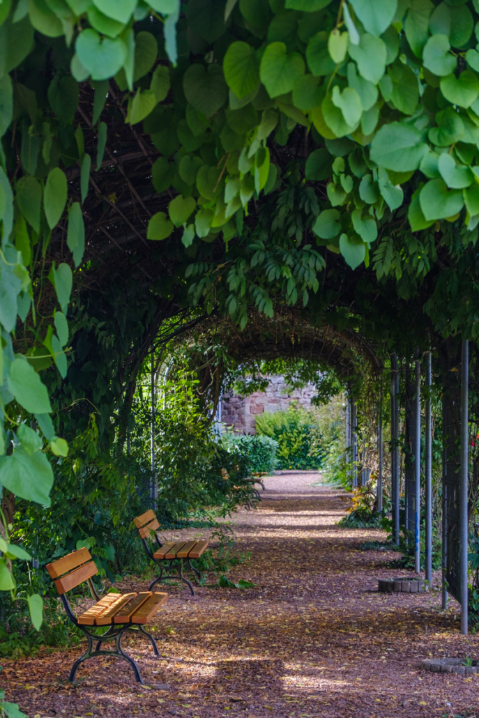 Laubengang, Orangerie Blieskastel, Bliesgau