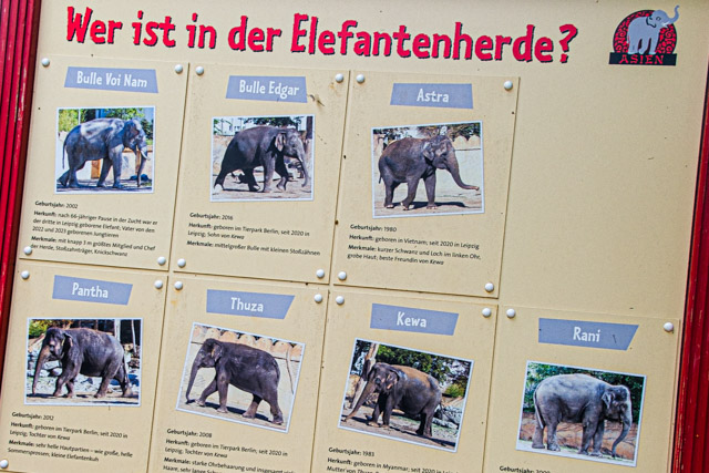 Tafel mit Elefantennamen, Zoo Leipzig